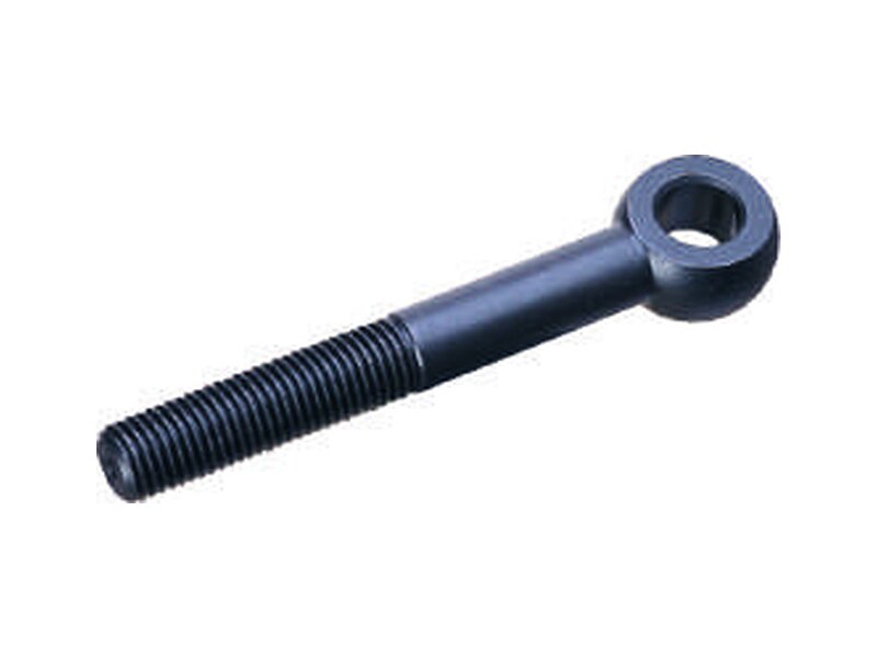 PT09 Eyebolt